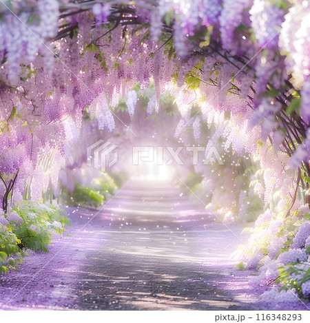 Enchanted Wisteria Tunnel: A Pathway of Purple Petals 116348293