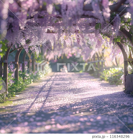 Whispering Wisteria: A Serene Tunnel of Purple Blossoms 116348296
