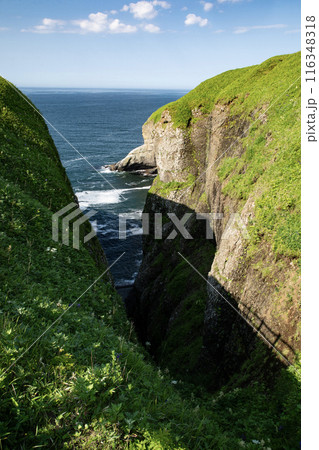 断崖絶壁の涙岩 116348318