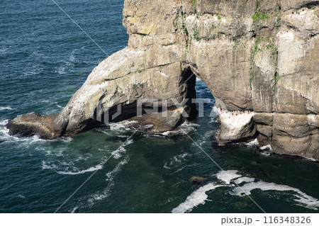 断崖絶壁の涙岩 116348326