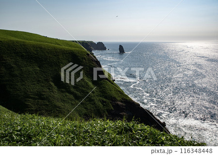 断崖絶壁からの立ち岩 116348448