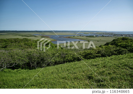 霧多布湿原 116348665