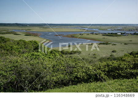 霧多布湿原 116348669