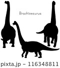 恐竜シルエットのセット　ブラキオサウルス 116348811