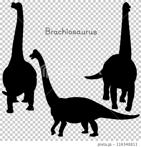 Set of dinosaur silhouettes Brachiosaurus 116348811