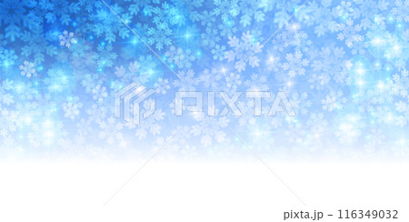 雪　クリスマス　冬　光　背景 116349032