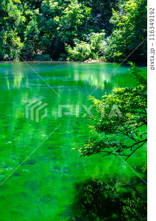 龍ヶ窪（竜ヶ窪） 116349192