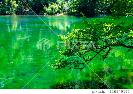 龍ヶ窪（竜ヶ窪） 116349193