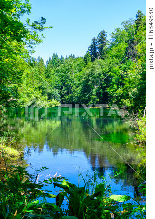 龍ヶ窪（竜ヶ窪） 116349330