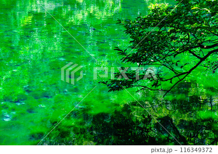 龍ヶ窪（竜ヶ窪） 116349372