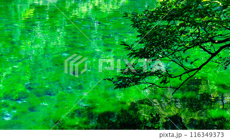 龍ヶ窪（竜ヶ窪） 116349373