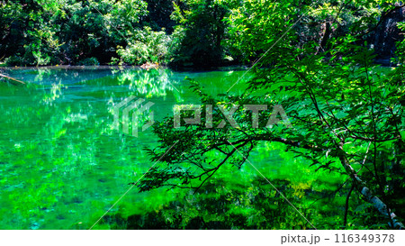 龍ヶ窪（竜ヶ窪） 116349378