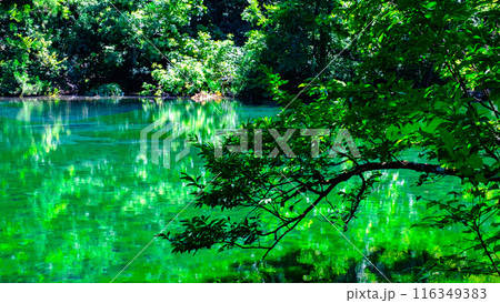 龍ヶ窪（竜ヶ窪） 116349383