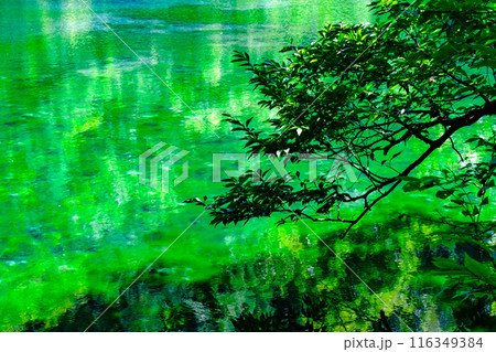 龍ヶ窪(竜ヶ窪) 龍ヶ窪(竜ヶ窪) 116349384