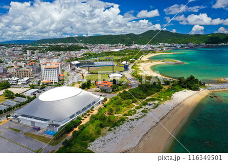 沖縄本島北部  名護市 21世紀の森公園 116349501