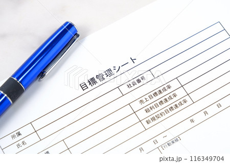 個人やチームの達成目標を明確に定義し、進捗状況を追跡するためのツールである「目標管理シート」を書く 116349704