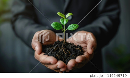 A person is holding a small tree in their hands 116349719
