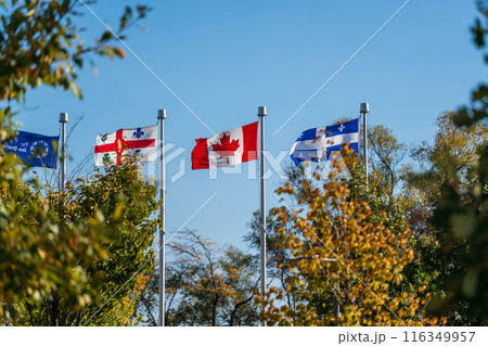 Quebec, Canada and Montreal flags waving in the Jean-Drapeau Park, Montreal, Quebec, Canada. 116349957
