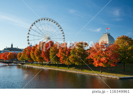 Old Port of Montreal in autumn. Red maples and old Montreal skyline reflected on St. Lawrence River. Fall foliage season in Montreal, Quebec, Canada. Old Port of Montreal in autumn. Red maples and old Montreal skyline reflected on St. Lawrence River. Fall foliage season in Montreal, Quebec, Canada. 116349961