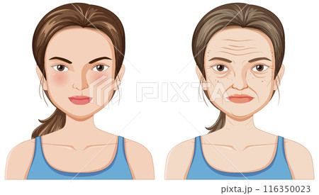 Aging Process Illustration 116350023