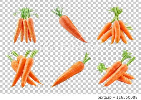 Carrot Collection Bundle Set Isolated on a Transparent Background 116350088