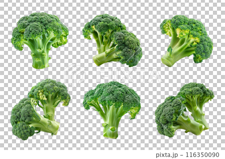 Broccoli Collection Bundle Set Isolated on a Transparent Background 116350090