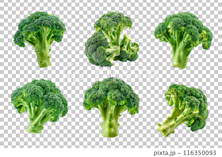 Broccoli Collection Bundle Set Isolated on a Transparent Background 116350093