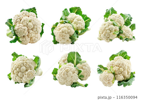 Cauliflower Collection Bundle Set Isolated on a Transparent Background 116350094