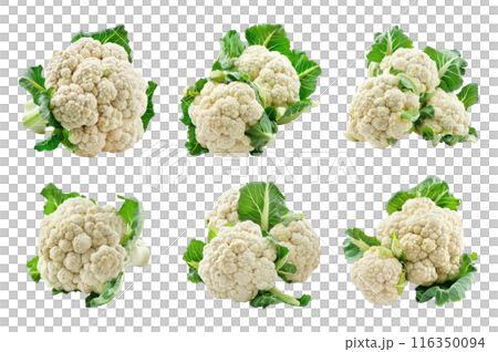 Cauliflower Collection Bundle Set Isolated on a Transparent Background 116350094