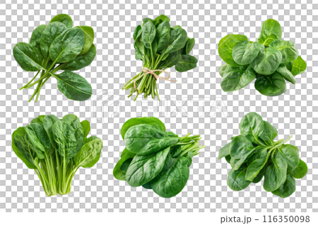 Spinach Collection Bundle Set Isolated on a Transparent Background 116350098