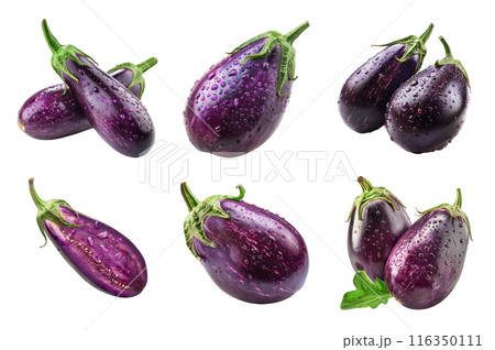 Eggplant Collection Bundle Set Isolated on a Transparent Background Eggplant Collection Bundle Set Isolated on a Transparent Background 116350111