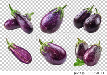 Eggplant Collection Bundle Set Isolated on a Transparent Background Eggplant Collection Bundle Set Isolated on a Transparent Background 116350111