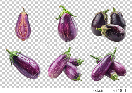 Eggplant Collection Bundle Set Isolated on a Transparent Background 116350113