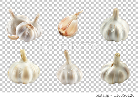 Garlic Collection Bundle Set Isolated on a Transparent Background 116350120