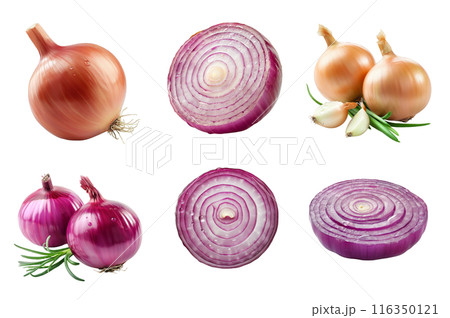 Onion Collection Bundle Set Isolated on a Transparent Background 116350121