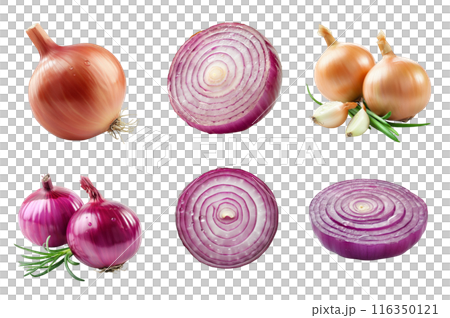 Onion Collection Bundle Set Isolated on a Transparent Background 116350121