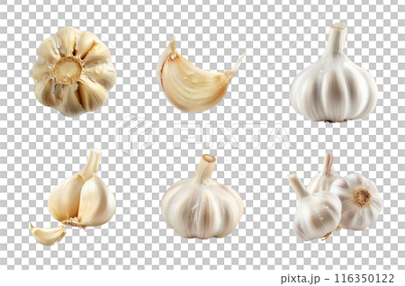 Garlic Collection Bundle Set Isolated on a Transparent Background 116350122