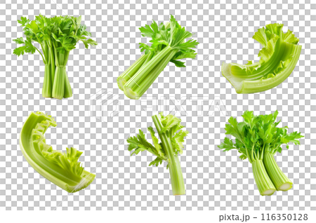 Celery Collection Bundle Set Isolated on a Transparent Background Celery Collection Bundle Set Isolated on a Transparent Background 116350128