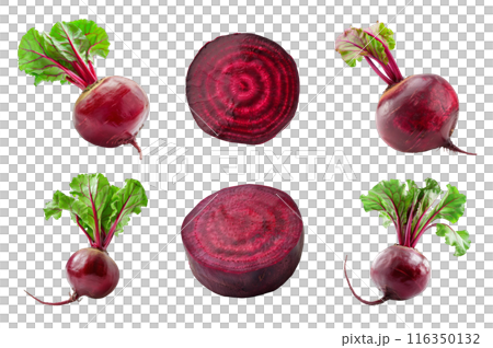 Beetroot Collection Bundle Set Isolated on a...のイラスト素材 [116350132] - PIXTA