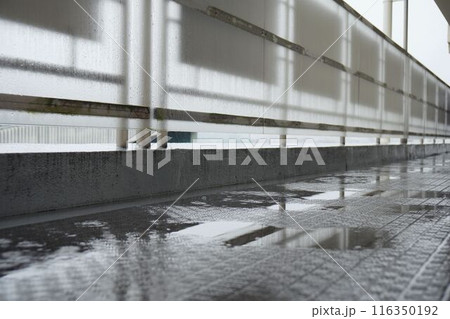 雨でビショビショの廊下 116350192