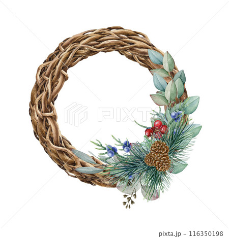 Winter floral vine wreath with pine and eucalyptus twigs. Watercolor illustration. Hand drawn twisted vine wreath, pine branches, eucalyptus, juniper, red berries. Christmas time festive floral decor 116350198
