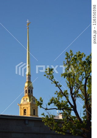 Bell tower of Peter and Paul Cathedral. 116350398