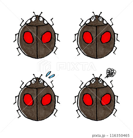 ナミテントウムシセット ナミテントウムシセット 116350465