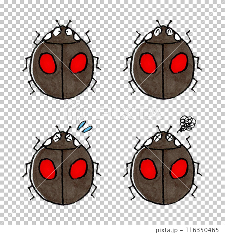 ナミテントウムシセット ナミテントウムシセット 116350465