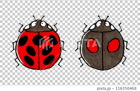 七星瓢蟲與奈美瓢蟲套裝 116350468