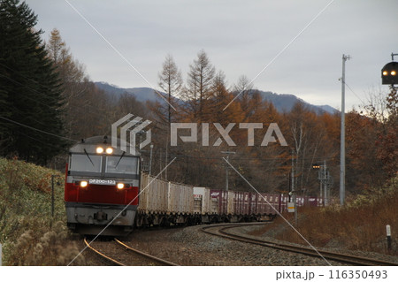 貨物列車　北海道 116350493