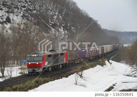 貨物列車 北海道 たまねぎ列車 貨物列車 北海道 たまねぎ列車 116350691