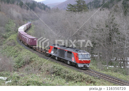貨物列車　北海道　たまねぎ列車 116350720