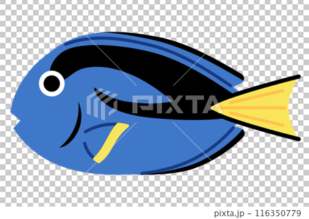 Illustration of blue tang 116350779