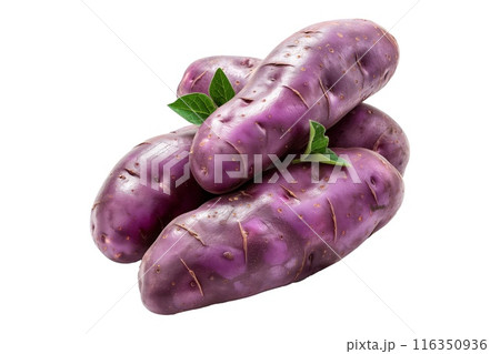 Fingerling potatoes isolated on a white background 116350936